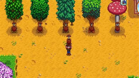 How to Get Maple Syrup in Stardew Valley (2025 Guide)