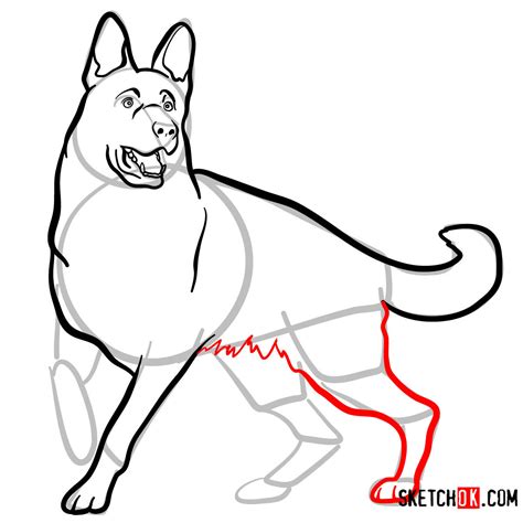 How to draw the German Shepherd dog - Sketchok Easy Drawing Guides