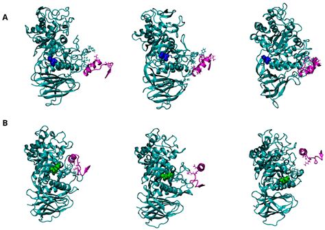 Investigating the Impact of the Parkinson’s-Associated GBA1 E326K ...