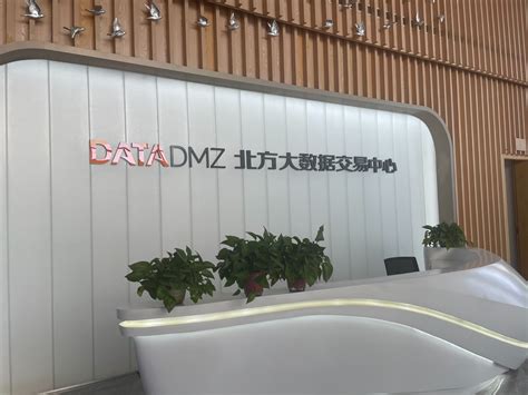 广东将建数据交易所，试点开展数据交易！一文看懂“数字政府2.0”怎样建_建设_管理_协同发展
