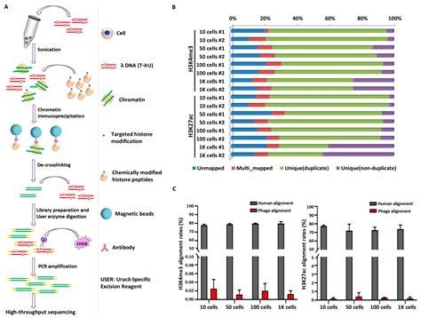 2cChIP-seq and 2cMeDIP-seq: The Carrier-Assisted Methods for Epigenomic ...