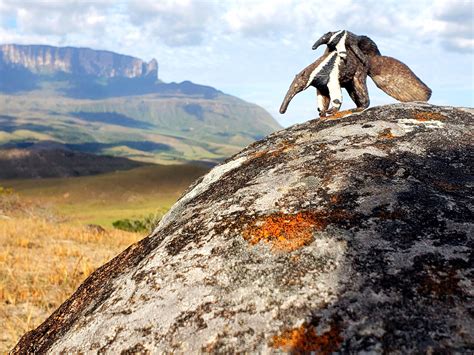 Tamanduá com Filhote Macuxi P - 18 x 4 x 7 cm - Projeto Terra