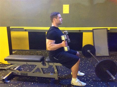 Seated Hammer Curl 𝐁𝐢𝐜𝐞𝐩 𝐚𝐧𝐝