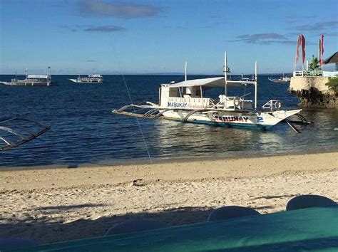 MABUHAY THRESHER DIVE CENTER - All You Need to Know BEFORE You Go 2026 ...