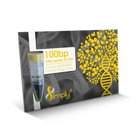 100bp DNA Ladder H3 - Universal Biotechnology: Accurate DNA Fragment Sizing