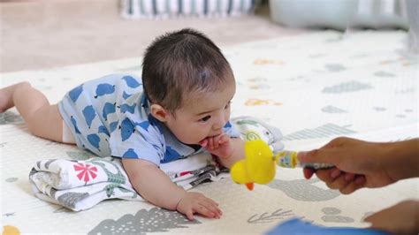 婴儿追视（1）-幼儿百科-魔术铺