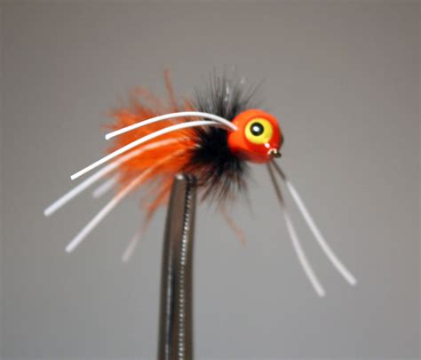 Rollie Pollie Bug – Breambugs.com