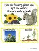 Open Court - 2nd Grade - Unit 4 Plants and Animals by My Deb Can Do That