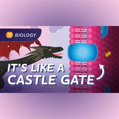 Image result for Crash Course Cell Structure