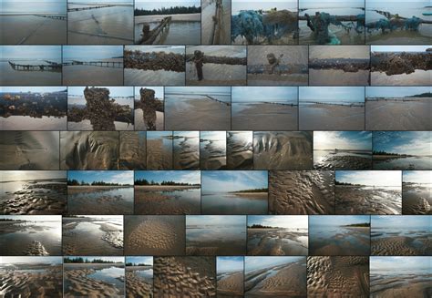 Alien Beach Drawing 的图像结果