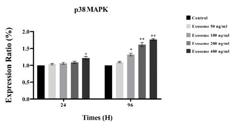 Image result for MTT Assay Using OriginPro