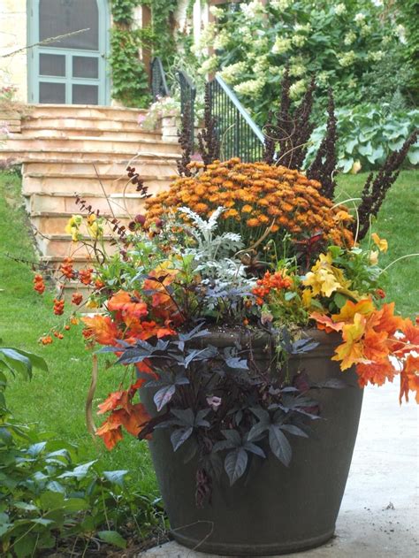 Best Container Plants For Fall at Jason Criner blog