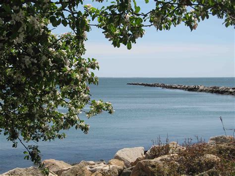 The beautiful, gently sloping, soft sandy beach of Rocky Neck State ...