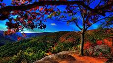 Nature Image by Hd Nature Wallpapers Wallpaper Cave Nature Image