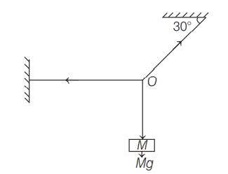 A mass M is hung with a light inextensible string as shown in the ...