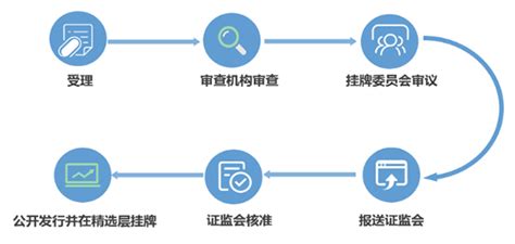 审查流程-中国上市公司网