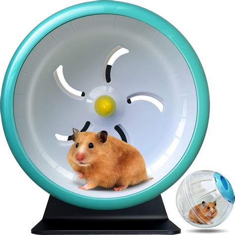 How Big Should A Hamster Wheel Be at Sandra Madrigal blog
