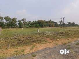 Lands & Plots for sale in Tenali | OLX