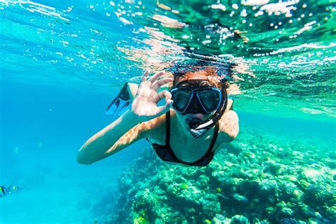 From Dubai: Snorkeling trip with lunch in Fujairah 2022 - Viator