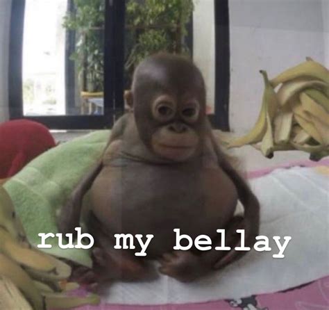 Rage Bait Monkey and Lion