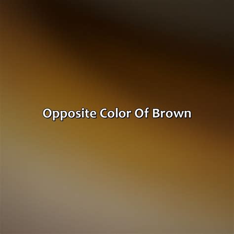 What Is The Opposite Color Of Brown - colorscombo.com