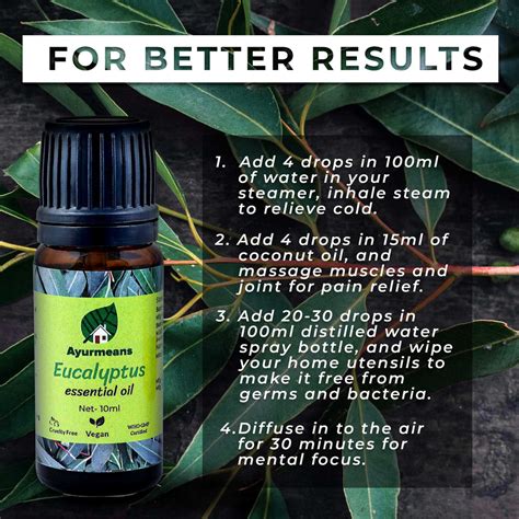 Eucalyptus Essential Oil – Ayurmeans