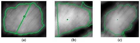 An Automatic Individual Tree 3D Change Detection Method for Allometric ...