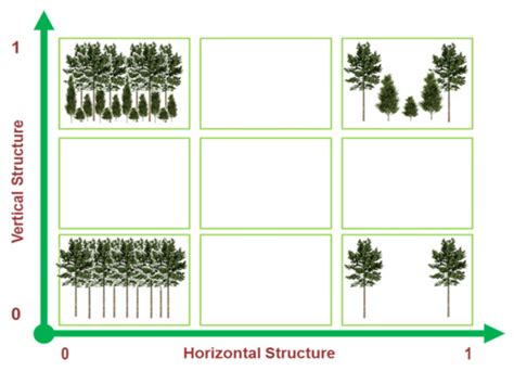 Forest Structure 的图像结果