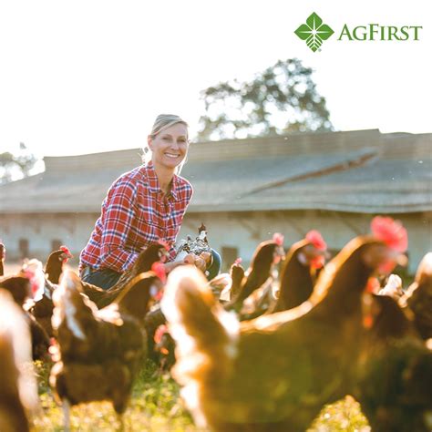 AgFirst Farm Credit Bank on LinkedIn: #didyouknow #agriculture #agfirst ...