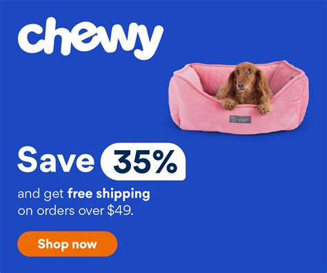 Can Dogs Have Beets? Vet-Reviewed Nutritional Facts & FAQ – Dogster