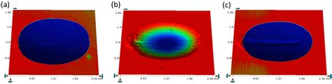 The Tribological Properties of Low-Sulfur and Low-Phosphorus Halogen ...