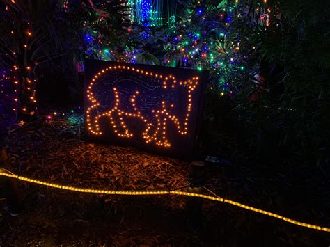 Gorgeous steed shining bright at the Point Defiance Zoo lights display ...