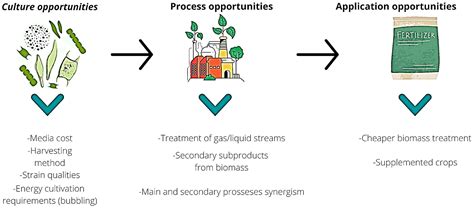 Microalgae-Based Biotechnology as Alternative Biofertilizers for Soil ...