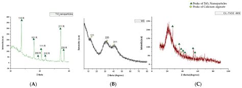 Synthesis and Characterization of Calcium Alginate-Based Microspheres ...