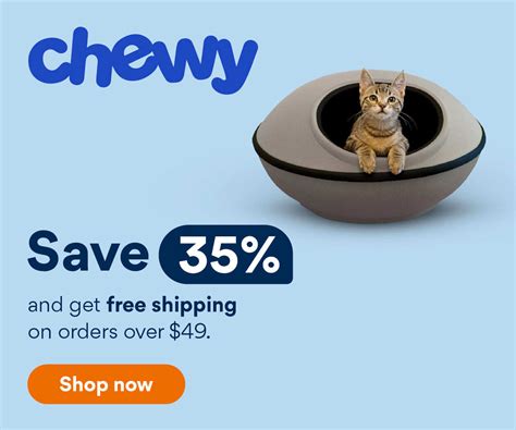 6 Cat Screen Games for Your Phone and Tablet (2025 Update) - Catster