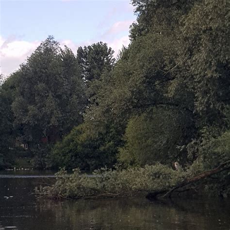 KIRK HALLAM LAKE & MEADOW (2024) All You Need to Know BEFORE You Go ...