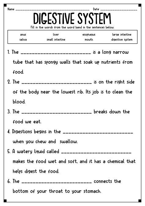Science Worksheets 4th Grade