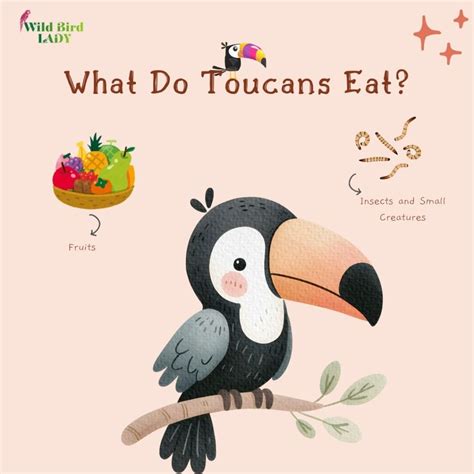 Can Birds Eat Popcorn? A Birdwatcher’s Guide to Popped and Unpopped Corn