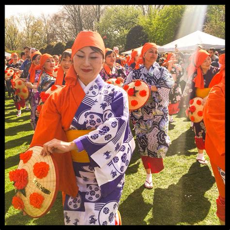 Kucong Forest Knowledge: Traditional Botanical Expertise in Yunnan