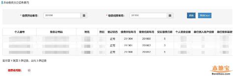 2024广东人社app怎么查询广州个人社保缴费记录？- 广州本地宝
