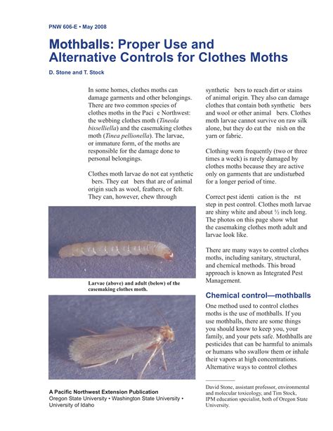Can Moths Be Dangerous at Jean Begaye blog