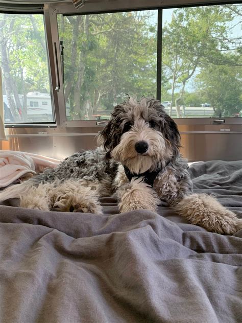 Coastal Acres Campground | Provincetown, MA