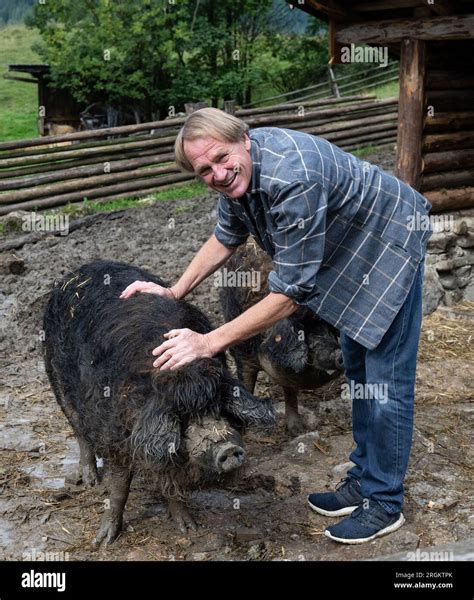 Alpine pigs hi-res stock photography and images - Alamy