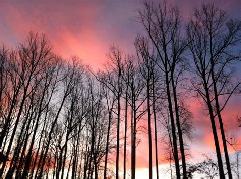 See related image detail. Beautiful Fall Sunrise