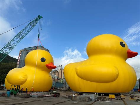 Giant Rubber Ducky Wallpaper