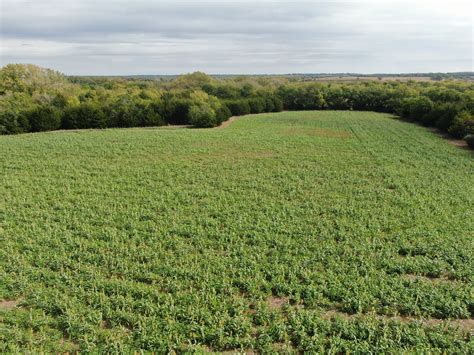 Land for Sale in Osage County, KS, Osage County, KS Land for Sale, Land ...