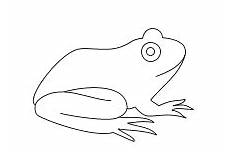 frosch bilder malvorlagen frosch zum ausmalen newtemp frosch bilder malvorlagen frosch zum ausmalen newtemp
