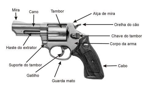 Image result for Example of a Normal Pattern