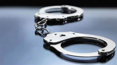 Uttar Pradesh: Man arrested for raping a cow in Lucknow - Lucknow News ...