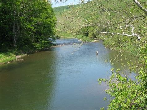 NOB HILL MOTEL & CABINS (Galeton) - Motel Reviews & Photos - Tripadvisor